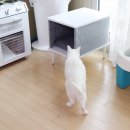 고양이 숨숨집 이미 있어도 또 사세요!!