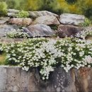 감성 어반스케치 이미지