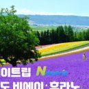 (주)라벤더투어