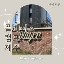 스탠다드 | 🏨숙소 리뷰 [플레이스 캠프 제주] 스탠다드룸 숙박 후기