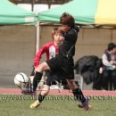 광명광덕초등학교 이미지