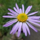 동강생태정보센터 이미지