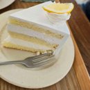 (주)이슈캐스터 이미지