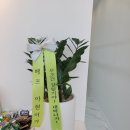 열두달, 예쁨