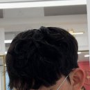 남성컷맨즈헤어