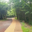 서귀포관악단 청소년·대학생 협주곡의밤 | 제주도 여행 서귀포 코스 2일 차