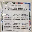 서하남유통 | 올림픽공원역 근처 생선구이 맛집 북극해고등어 서하남점｜고등어구이·삼치구이 내돈내산 후기