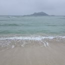 한림읍사무소 | 5살 아이랑 여름 제주 (2) 금능해수욕장 이용팁 ⛱️ , 화조원, 근처 맛집 추천
