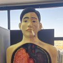 손양면보건지소 이미지