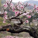 태백안동축산 이미지