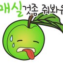 모멘트 핏 이미지