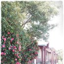 초록마을펜션 이미지