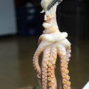 대찬짬뽕 이미지