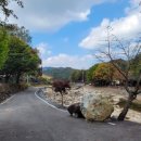 거북가든 이미지