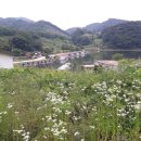 풀만부동산중개 이미지