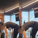 벨로짐광명소하점 | [벨로짐 PT&amp;스트레치 광명소하점] 패시브 스트레칭 1:1 PT 솔직후기