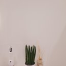 나우피티스튜디오 이미지