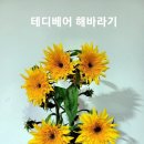향기와멋