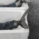 지족공설시장 이미지