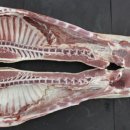 주식회사고기고기 이미지