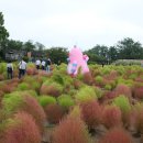 빛과둥지주간센터 이미지