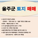 대연성심공인중개사사무소 이미지