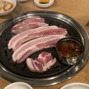 해오름껍데기 이미지