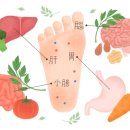 오아시스사우나 이미지