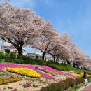 젤 네일아트반 이미지