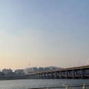 한강뷰에서 즐긴 대규모 마피아게임, 코폴라 마피아나잇2 후기 (In 무드서울)