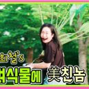 희철농장 네이버블로그