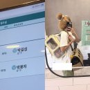 이층애 고양이동물병원 | 안양 산본 동물병원 진짜비추. 절대다신안감. 고양이치근단농양 투병일지