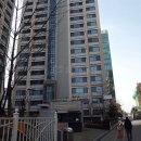 강남-275 이미지