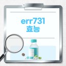 731 이미지