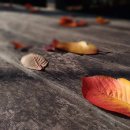 예쁜안경원 이미지