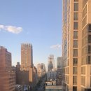 애플아일랜드 이미지