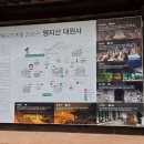 별이 쏟아지는 대원사 템플스테이 1박2일 힐링 후기
