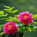 잠언의료기 - 의정부시 평화로 635 | 잠언의료기