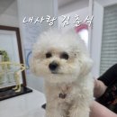 내사랑동물병원 네이버블로그