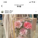 에일린플레르 이미지