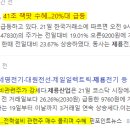 디아이인터내셔널 이미지