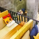 놀숲신부점