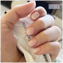 디자인 메리엘