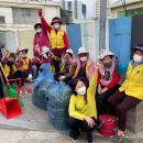 노루목향기 이미지