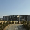 대부도튀김먹자