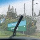 쌍방울애견 이미지