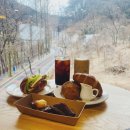 보문산 산책길 | [대전] 대전 중구 보문산 뷰 대형 카페 멜뷰 방문 후기