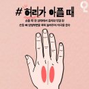 조물조물 이미지