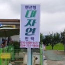 대자연민박 이미지