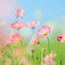 선경레이카운티부동산공인중개사사무소 이미지